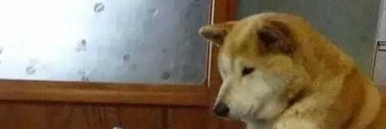 JTT✂️🪴@嘎 banner