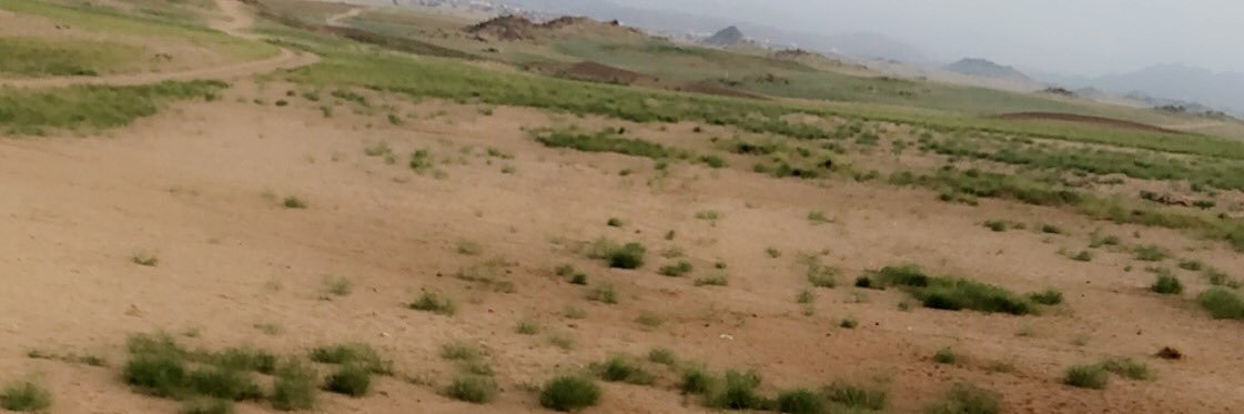 dfdgxb's profile banner image