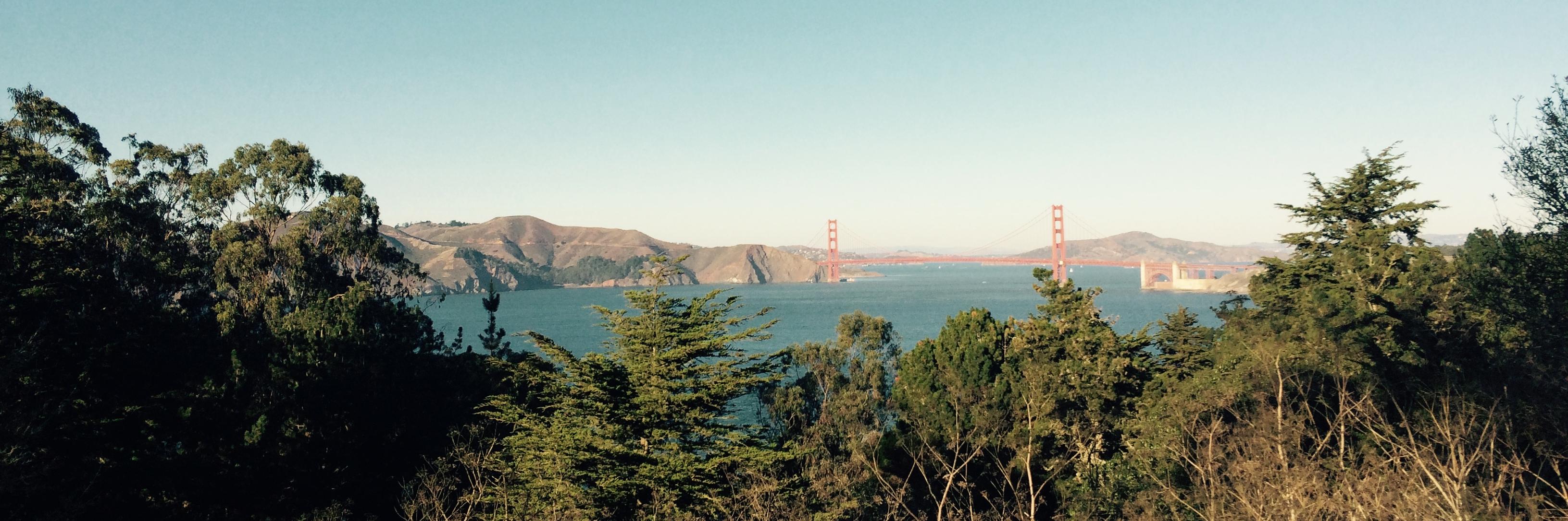 Fabien Siouffi banner