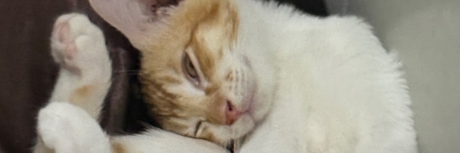 luhlevei's profile banner image
