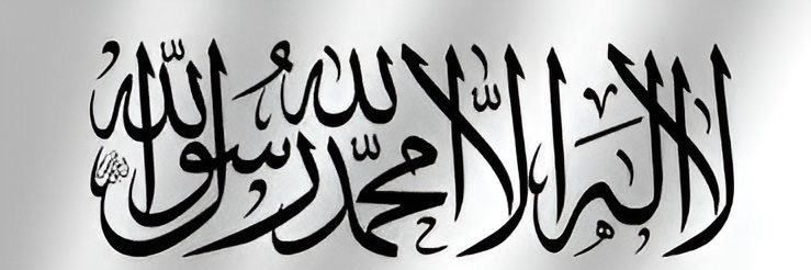 فداءالدين يحيى's banner
