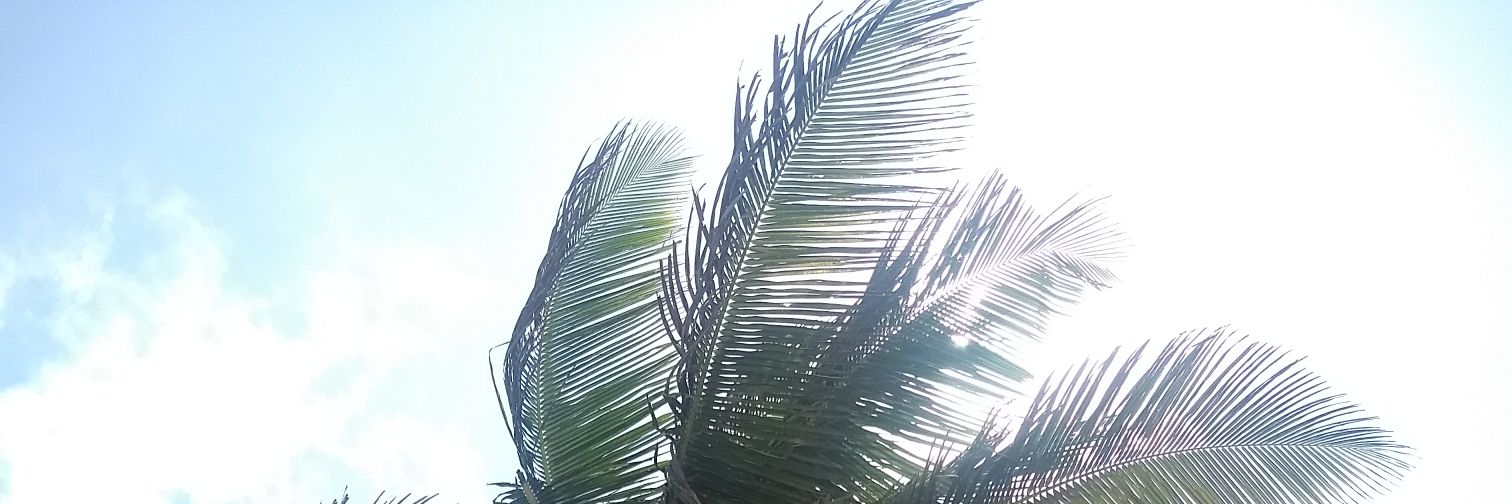 ayemj's profile banner image