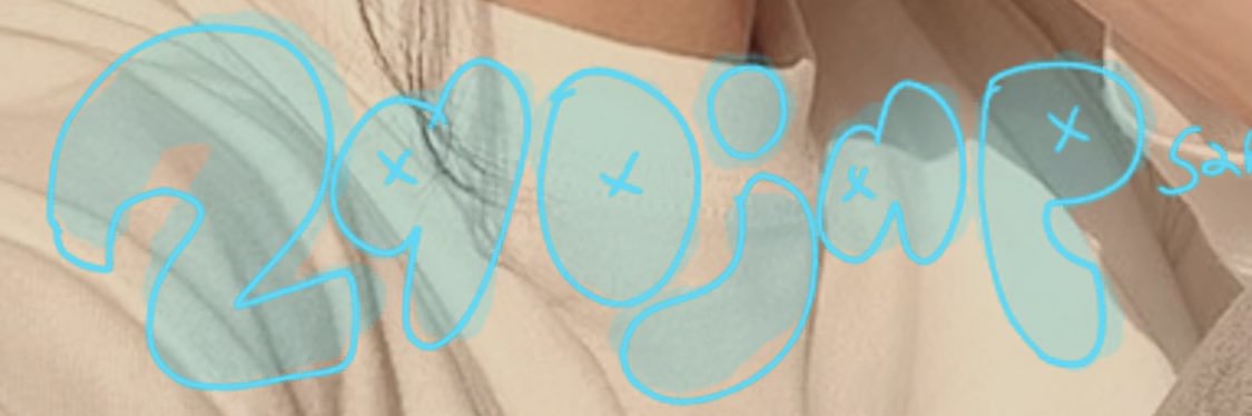 二九丸　a.k.a. 290jap banner