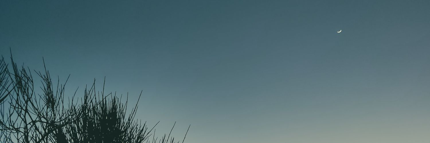 Clau Monroe🦋 banner