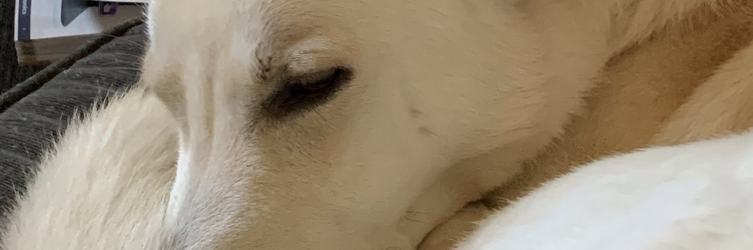 _redelf's profile banner image
