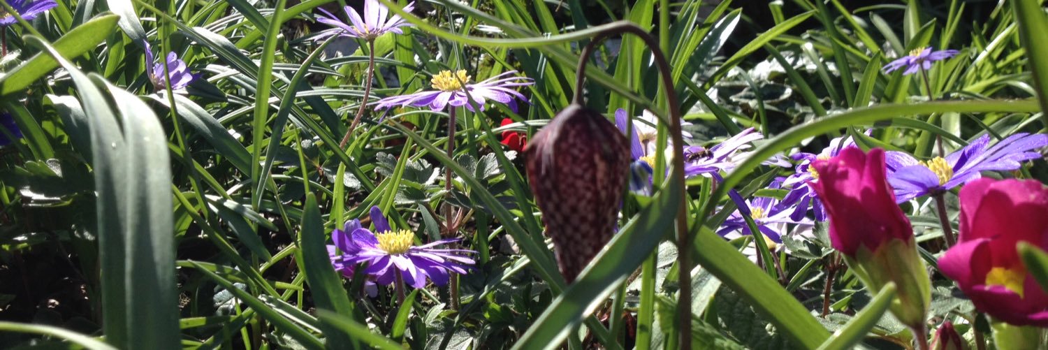 Alex Russell-Moore banner