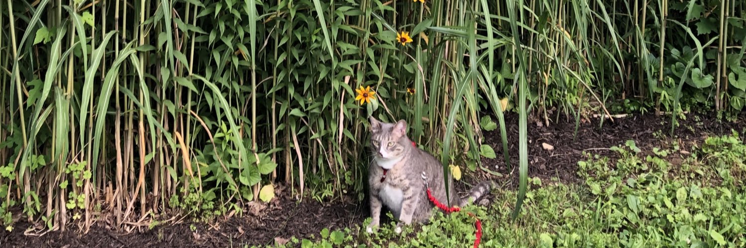 Laphroaig 🇺🇦 🇺🇦 banner