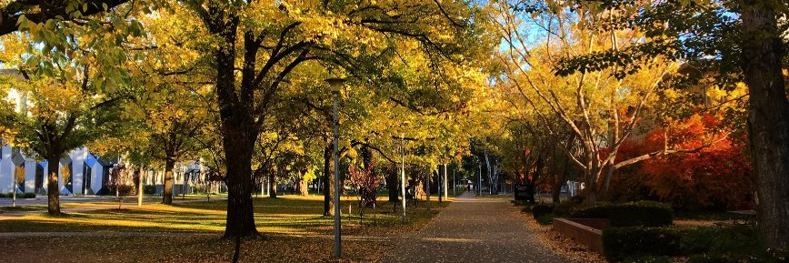 Heather Aitken banner