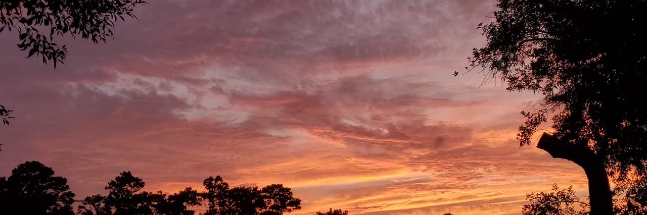 escobedo3454's profile banner image