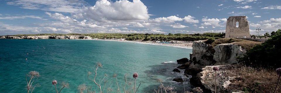 Alessandro D'agnano banner