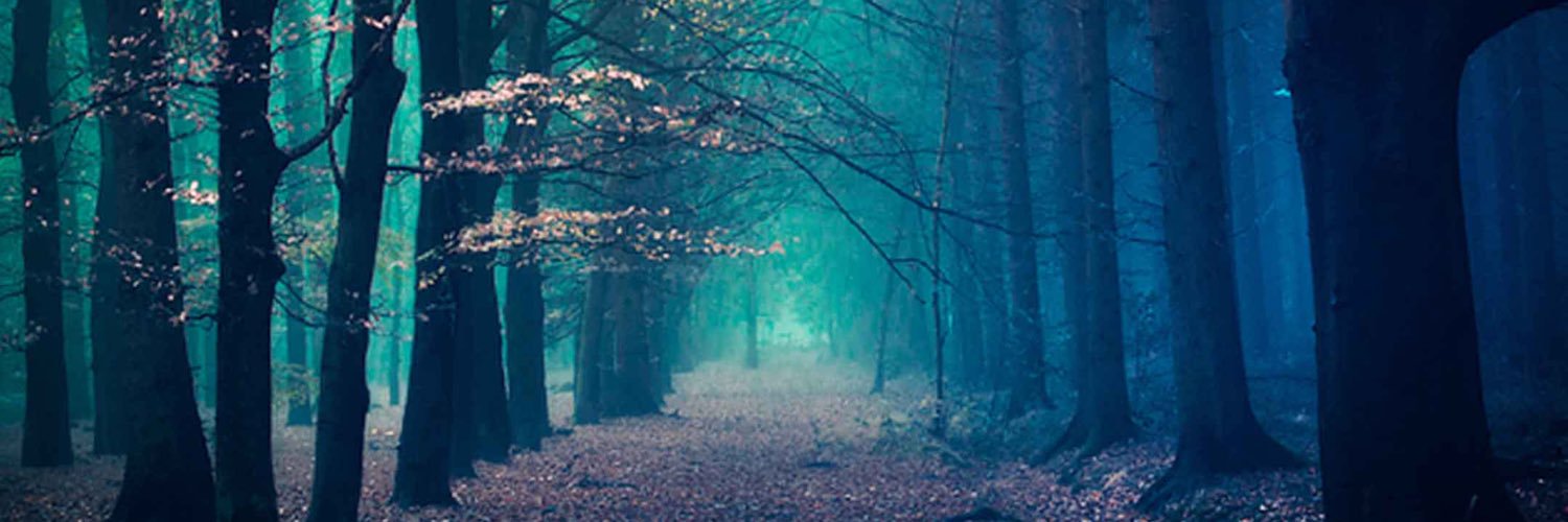 ltlantip's profile banner image