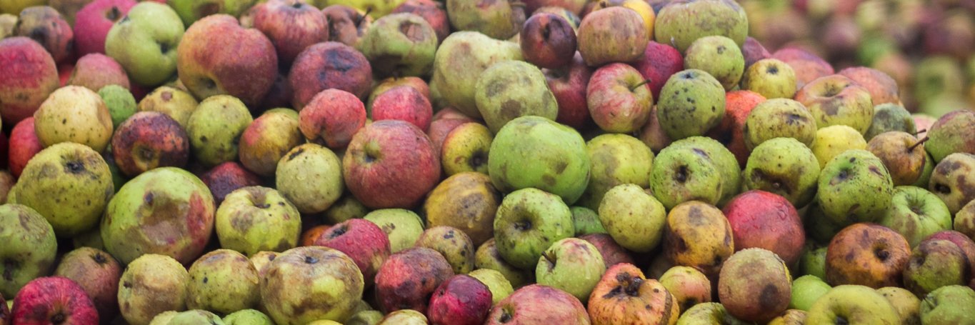 BC Cider Festival banner