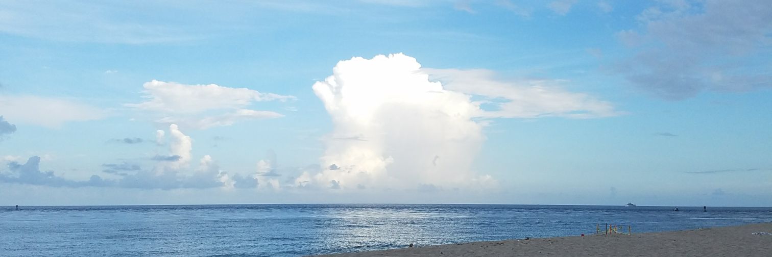 Multicultural Dept. banner