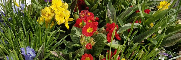 GastroACP Profile Banner