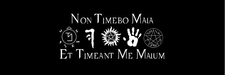 RandomFandomLyf's profile banner image
