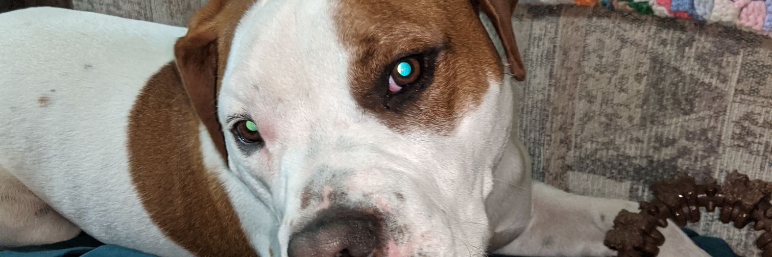 Kristen 🏀🏀😘🤩😜🤗🏀🏀 banner