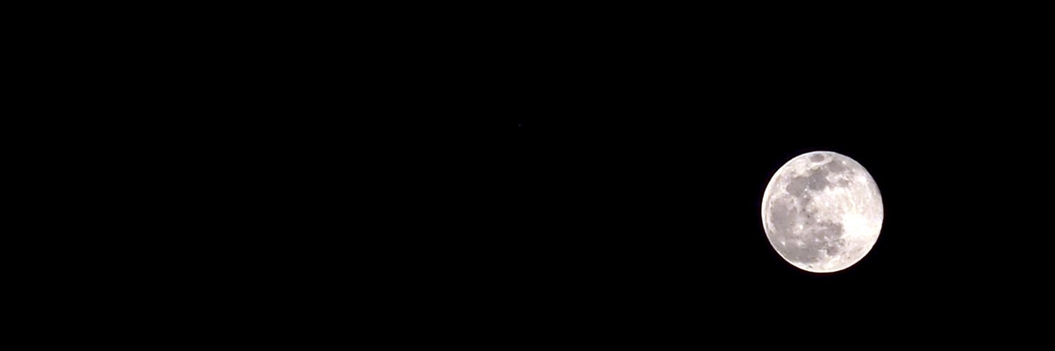 sciangeles's profile banner image