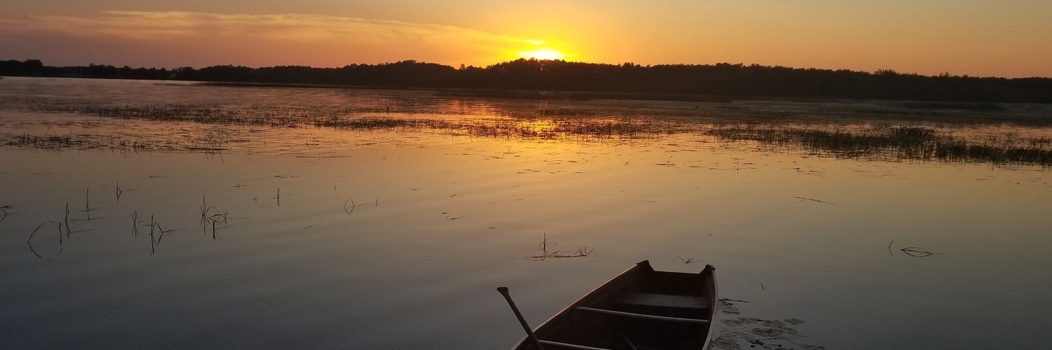 alfortini's profile banner image