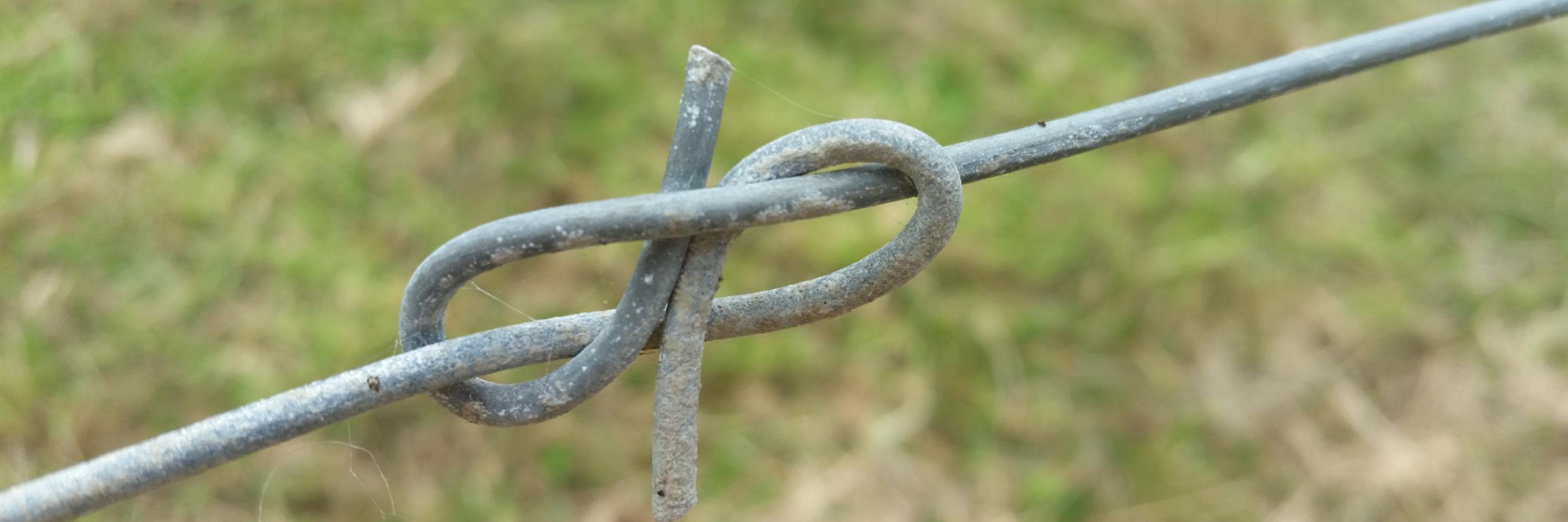 Brendan O'Connell banner