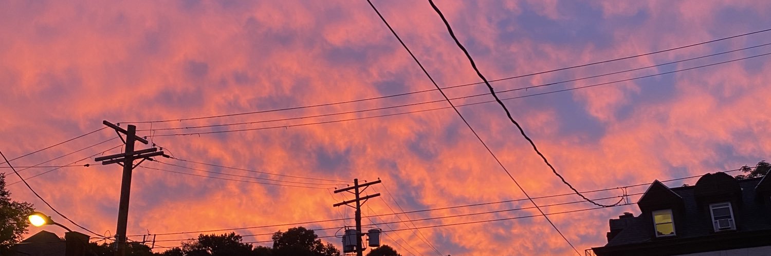 rileighdevine's profile banner image