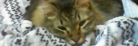 長門 景経（遼弥） banner