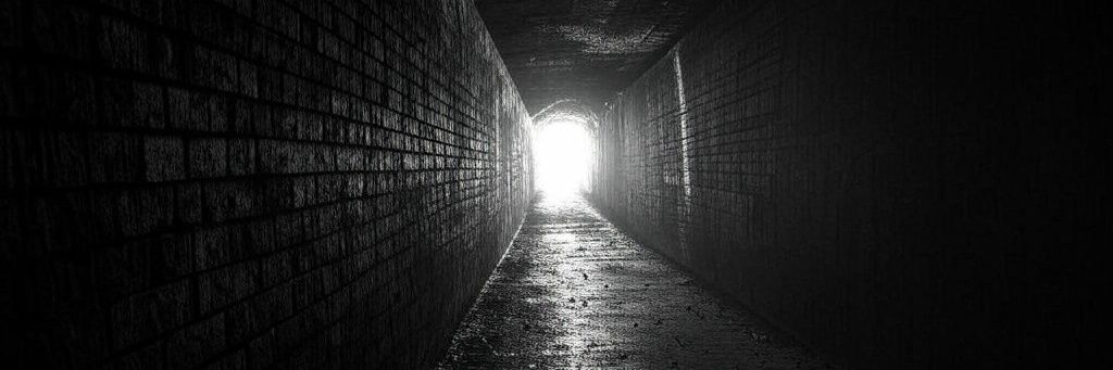 TunnelVisionary banner