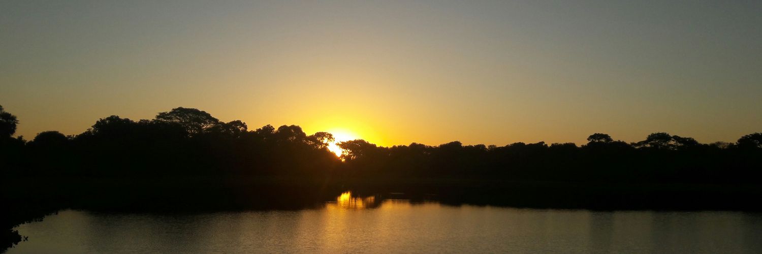 drispbrasil's profile banner image