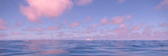 Valentw_'s profile banner image