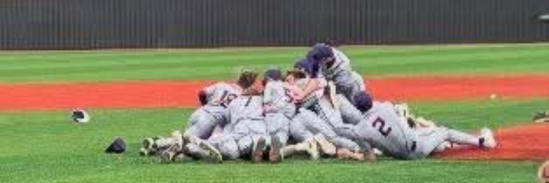Lyon County Baseball banner