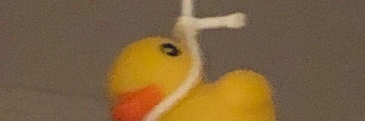 Bug. banner