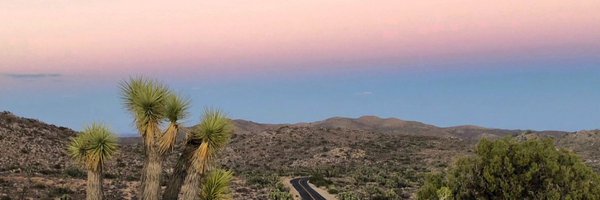 jacqpatton Profile Banner