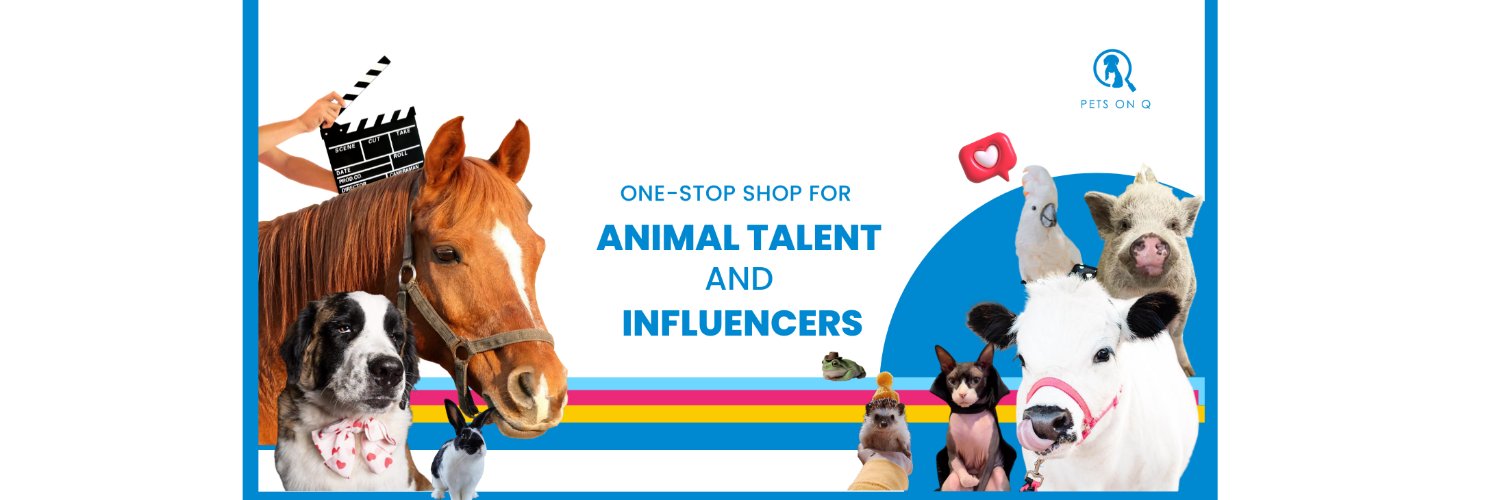 Pets on Q banner