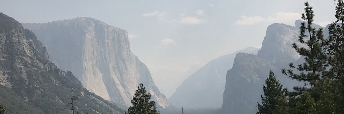 DENNY banner