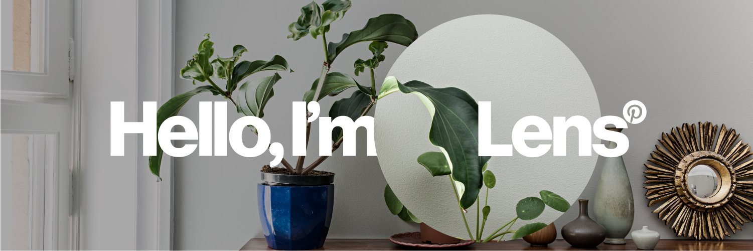 Pinterest Lens banner