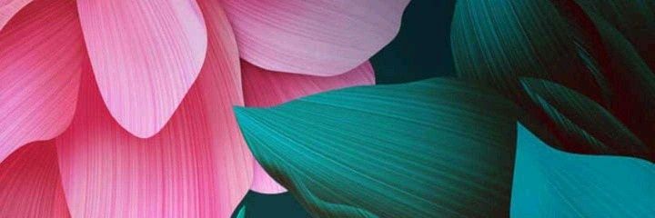 abeja1703's profile banner image