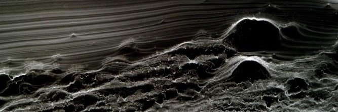Shole's banner