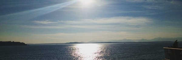 Em_Rose_R Profile Banner