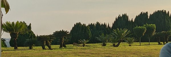 brobromeow Profile Banner