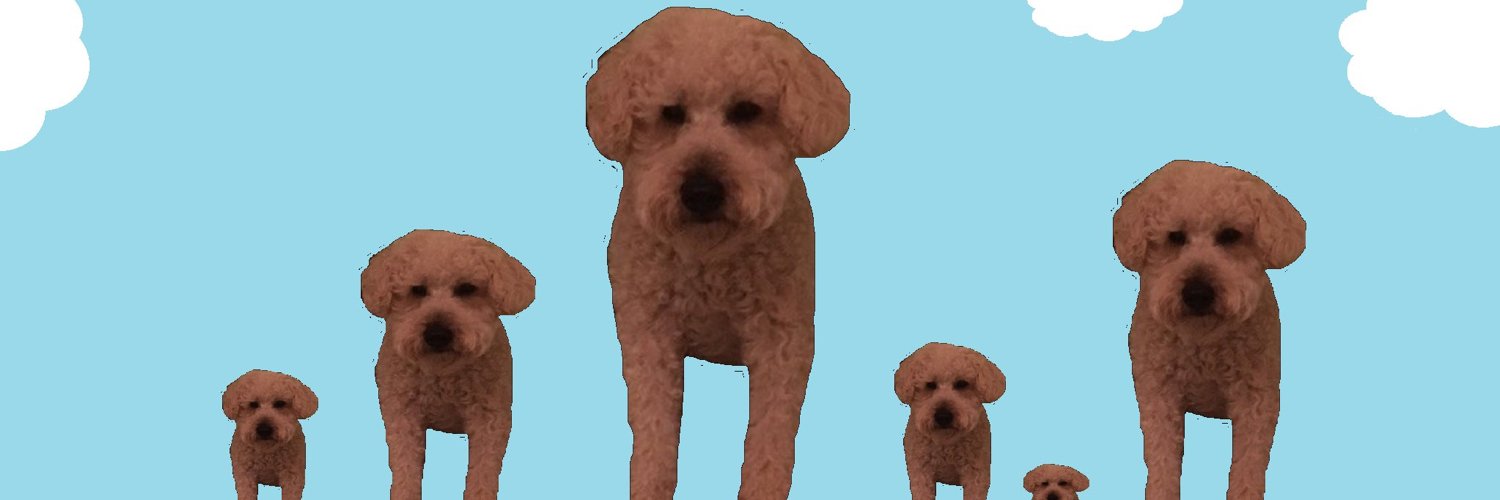 krummey's profile banner image