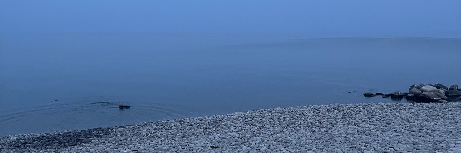 MichelleRoseC21's profile banner image