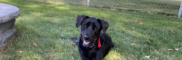 jlee061185 Profile Banner