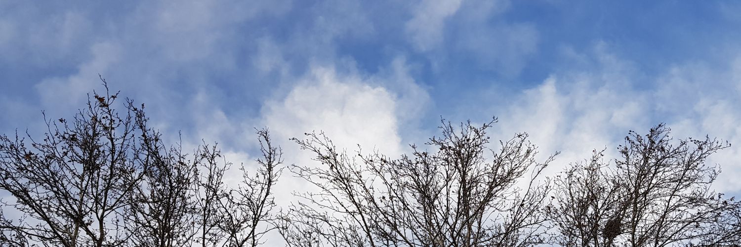 Alexxilver's profile banner image