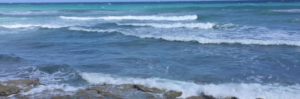 MsAMDunks Profile Banner