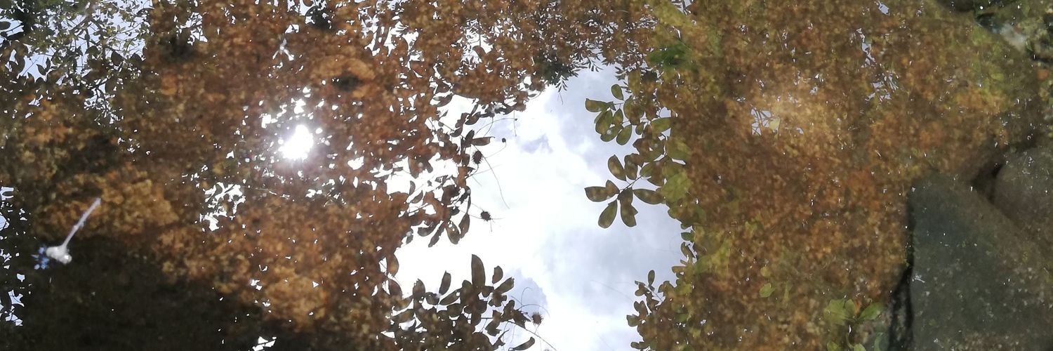 musicwafer's profile banner image