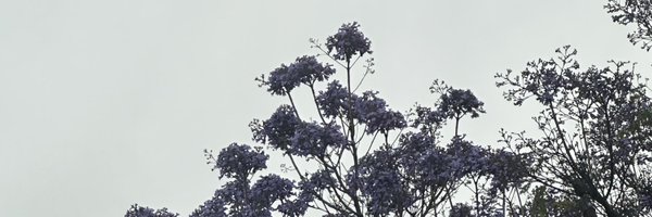 stationsquare Profile Banner