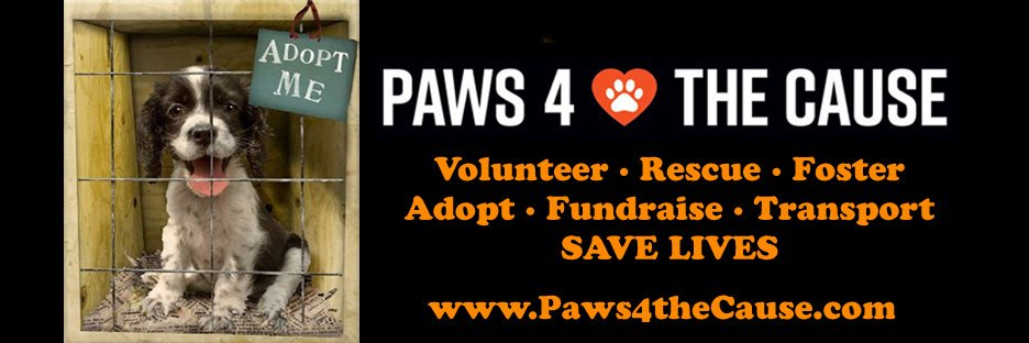 Paws4tC's profile banner image