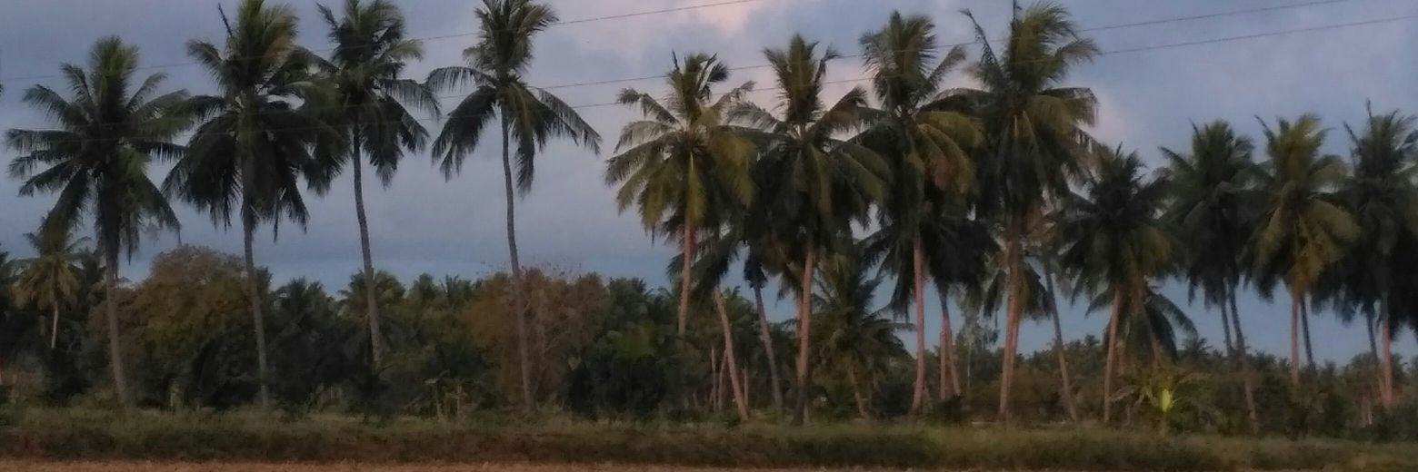 vk321659's profile banner image