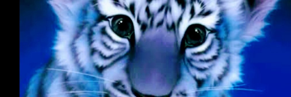 Amit banner