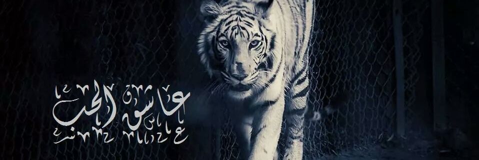 asheej2020's profile banner image