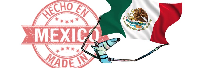 Pimpleia's profile banner image